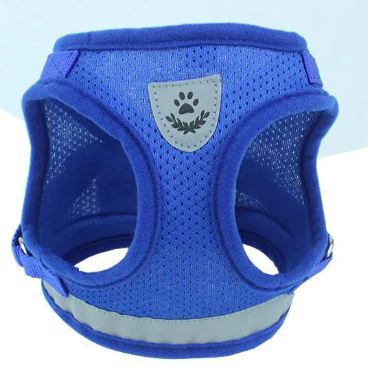 Vibrant Safety Dog Harness