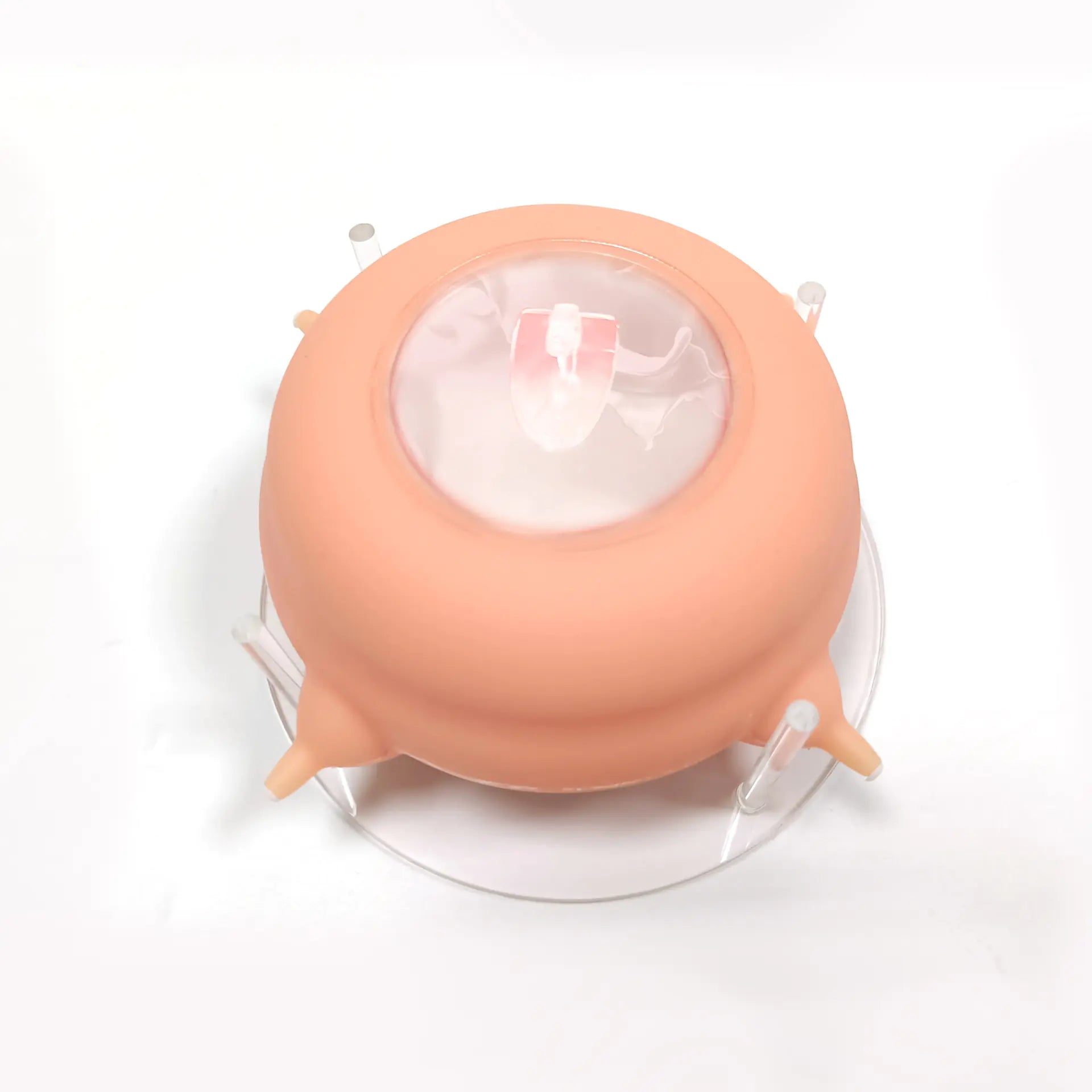 SafeFeed Pet Nursing Bottle