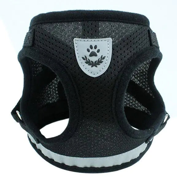 Vibrant Safety Dog Harness