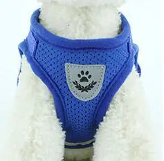Vibrant Safety Dog Harness