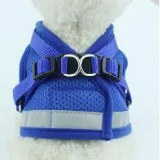 Vibrant Safety Dog Harness