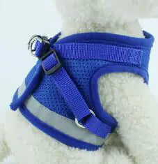 Vibrant Safety Dog Harness