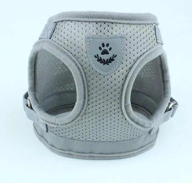 Vibrant Safety Dog Harness