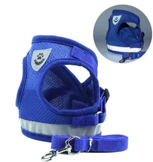 Vibrant Safety Dog Harness