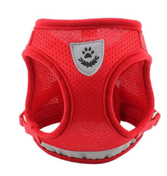 Vibrant Safety Dog Harness