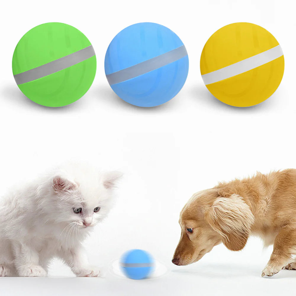 USB Recharge Smart Play Ball