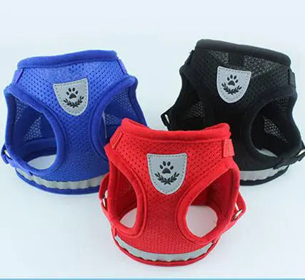 Vibrant Safety Dog Harness